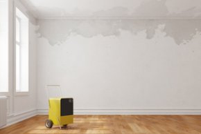Sanierungsarbeiten Sanierungsarbeiten