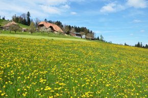 Grundstücksbewertung Schweiz Grundstücksbewertung Schweiz